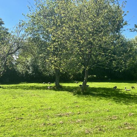 Adorable Two Bed Norfolk Broads Holiday Home - River Views With Moorings & Fishing Stalham Eksteriør bilde