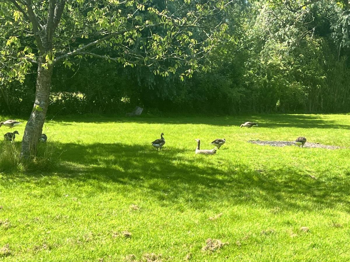 Adorable Two Bed Norfolk Broads Holiday Home - River Views With Moorings & Fishing Stalham Eksteriør bilde
